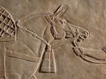 Detail from a stone wall relief from Ashurbanipal’s palace, depicting a royal hunt.