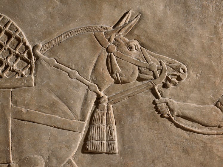 Detail from a stone wall relief from Ashurbanipal’s palace, depicting a royal hunt.