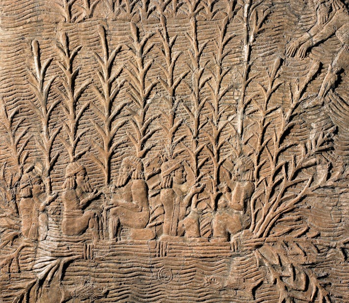 2,700 years later, ancient rock carvings reveal the most stunning city