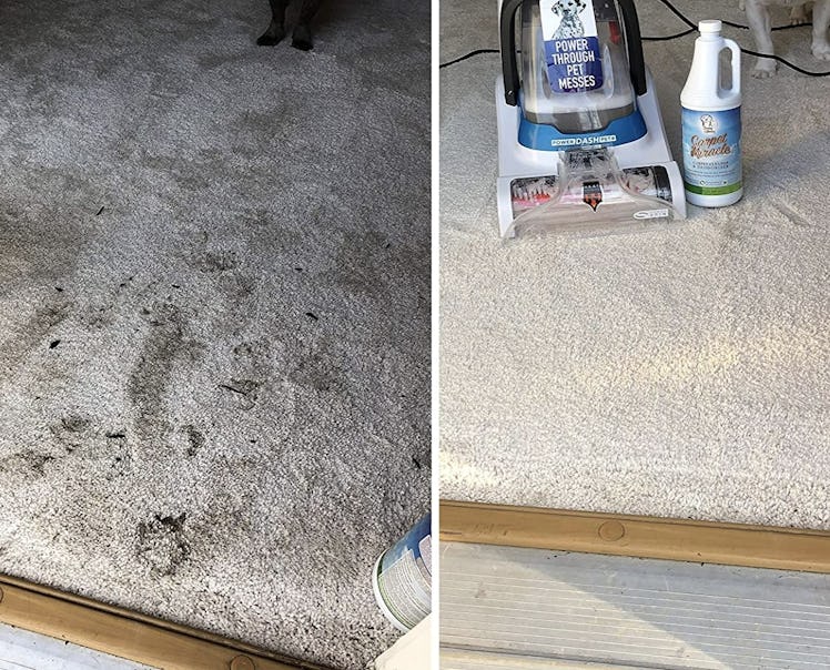 Sunny & Honey Carpet Cleaner