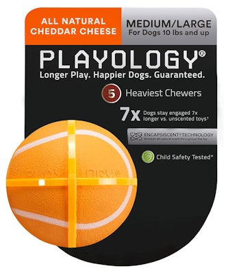 Playology Squeaky Chew Ball Dog Toy