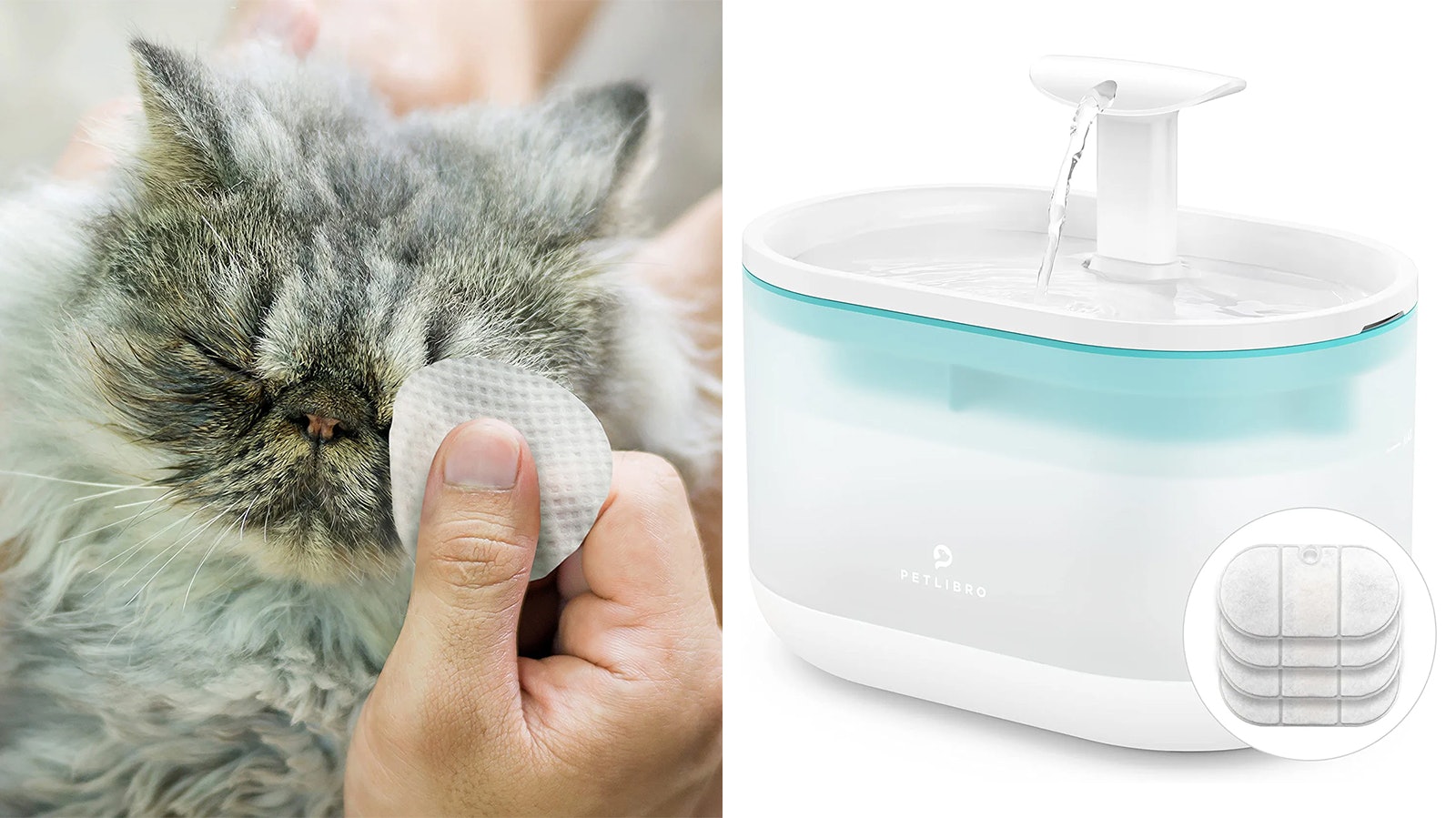 Genius things that make having a cat way less gross