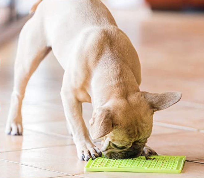 Lickimat Classic Slow Feeders (2-Pack)