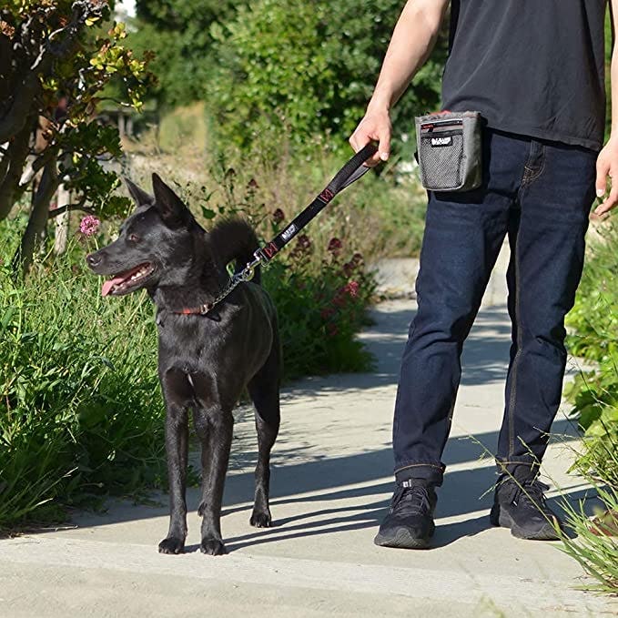 Leashboss Short Dog Leash