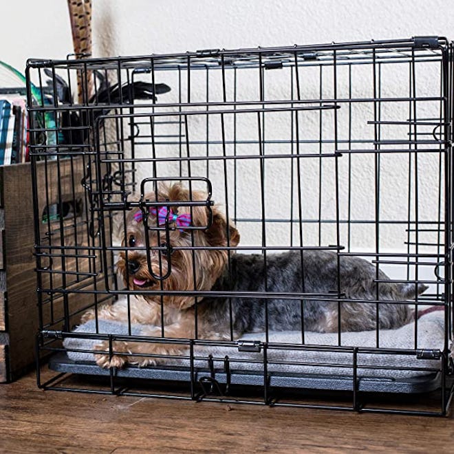Paws & Pals Dog Crate
