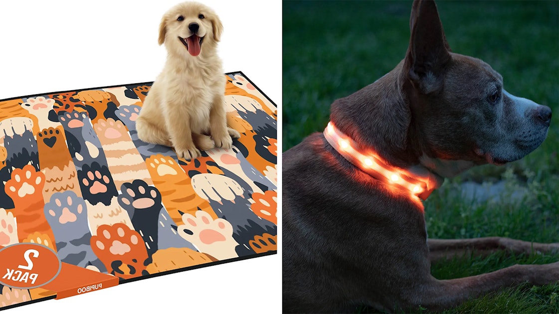 Having pets would be so much easier if you had any of these clever things