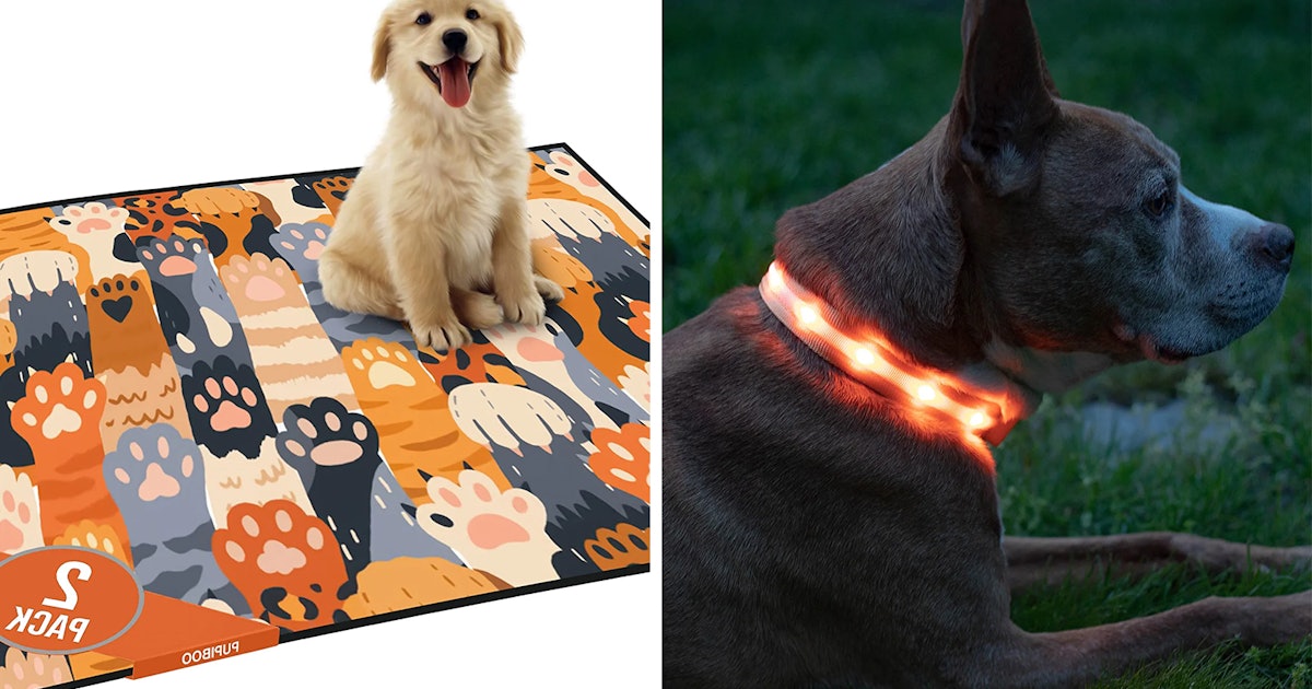 Having pets would be so much easier if you had any of these clever things