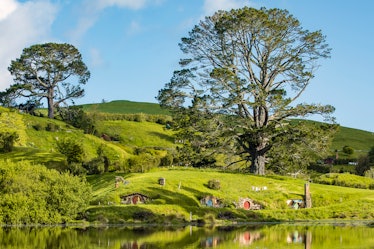How To Book A Private Hobbithole Airbnb in New Zealand For $10, Inspired By "The Hobbit: An Unexpect...