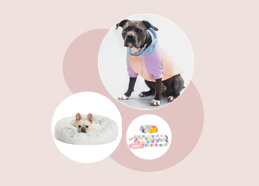 21 Dog Christmas Gifts Your Fur Baby Will Absolutely Love
