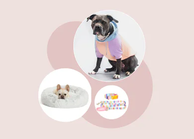 The cutest dog Christmas gifts to buy for your fur baby.