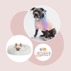 The cutest dog Christmas gifts to buy for your fur baby.