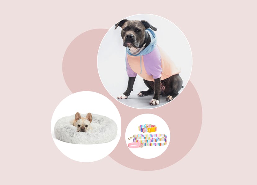 The cutest dog Christmas gifts to buy for your fur baby.