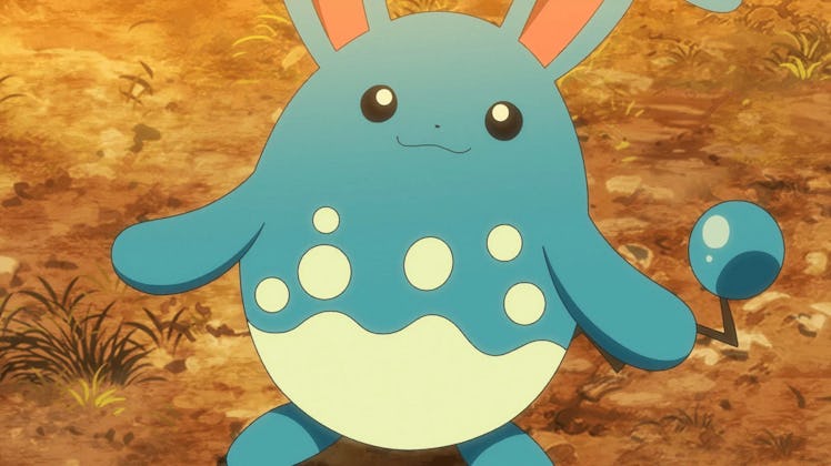 pokemon anime azumarill