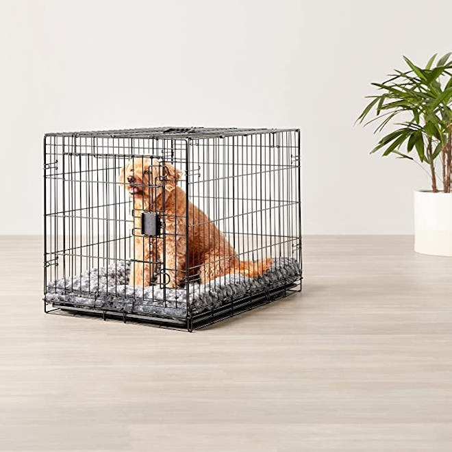 Amazon Basics Foldable Metal Wire Dog Crate