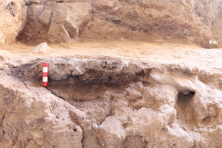 A Neanderthal hearth found at Shanidar Cave.