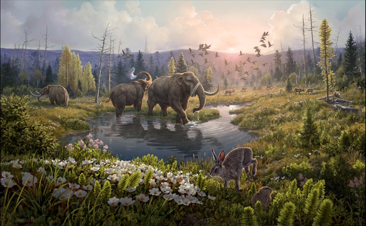 An artistic rendering of mastodons and plant life thriving in a warmer ancient Greenland