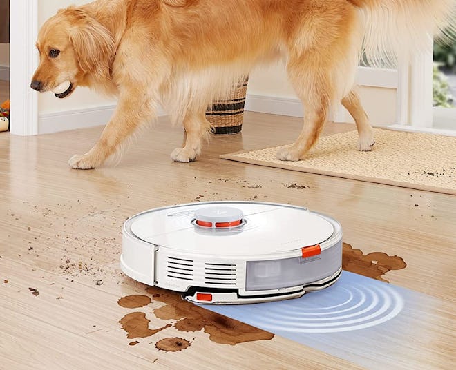 Robot Vacuum and Mop