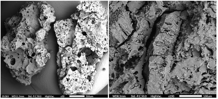 Scanning Electron Microscope images of carbonized food remain. Left: The bread-like food found in Fr...