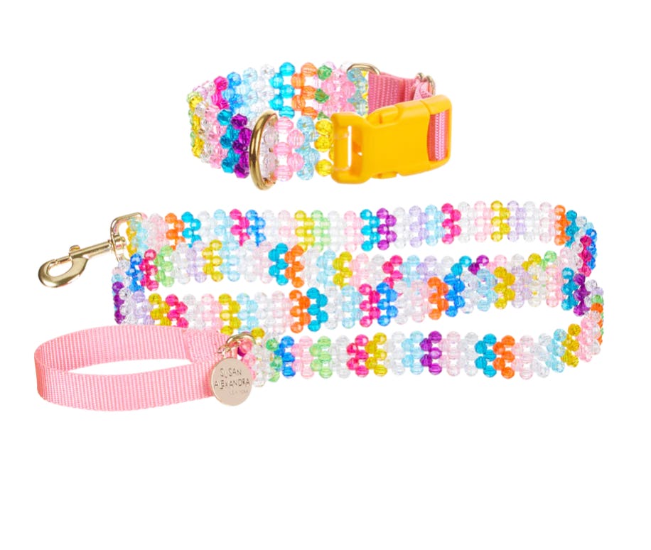 Dog Collar &amp; Leash