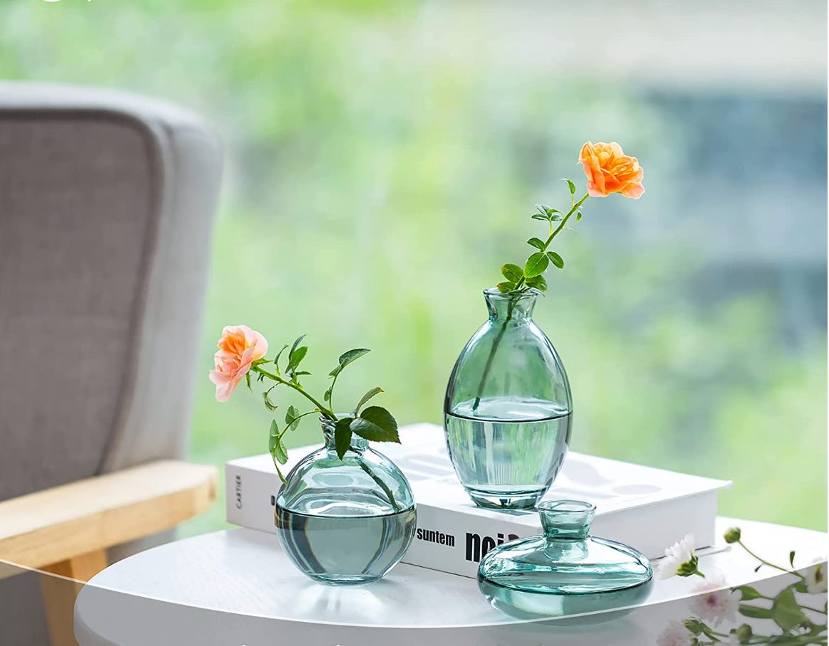 Glasseam Glass Bud Vases (6-Pack)