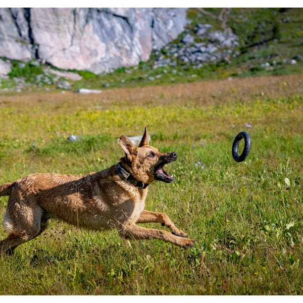 Monster K9 Dog Toys Ultra-Durable Chew Toy