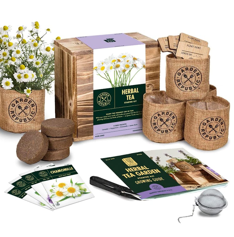 Indoor Herb Garden Seed Starter Kit