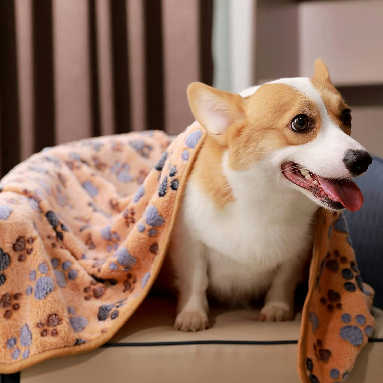 The 5 Best Blankets For Puppies