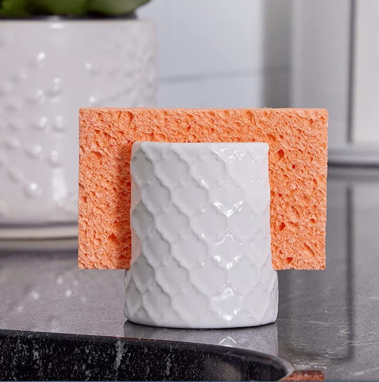 Home Acre Designs Sponge Holder