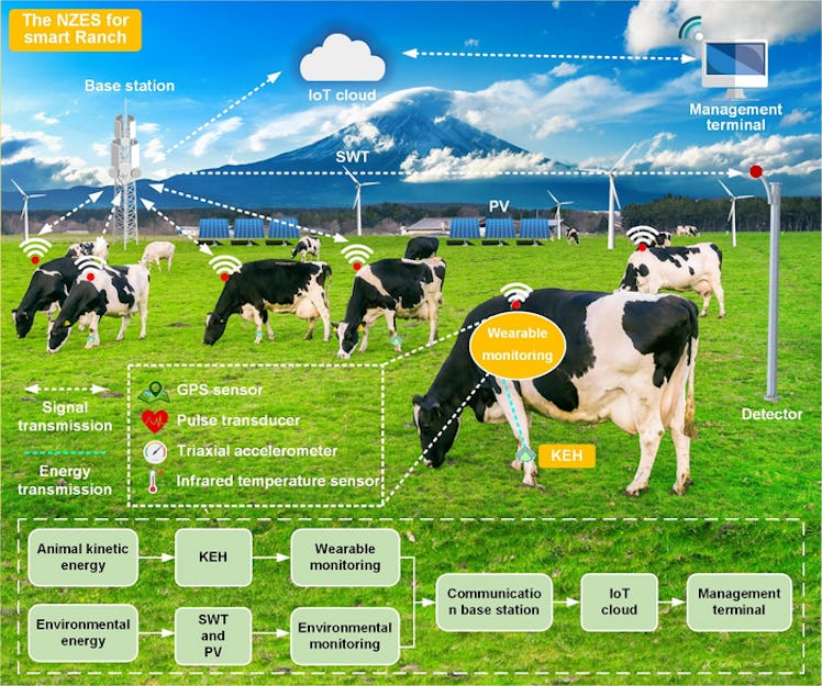 A diagram of the Internet of Things system for ranches.