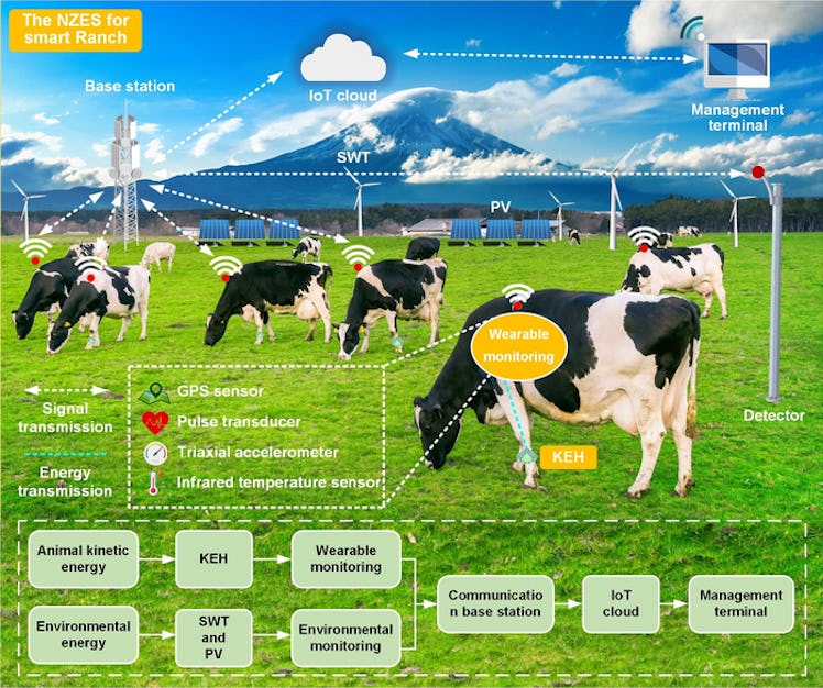A diagram of the Internet of Things system for ranches.