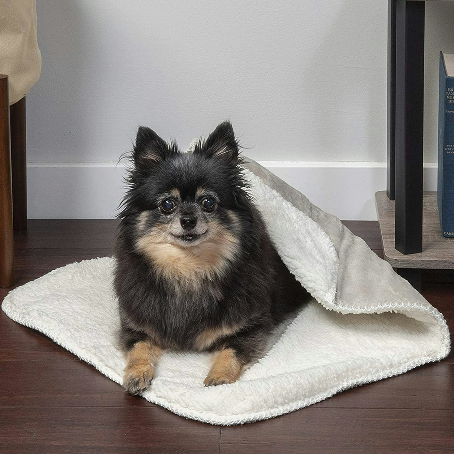 The 5 Best Blankets For Puppies