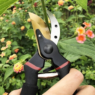 gonicc Titanium Bypass Pruning Shears