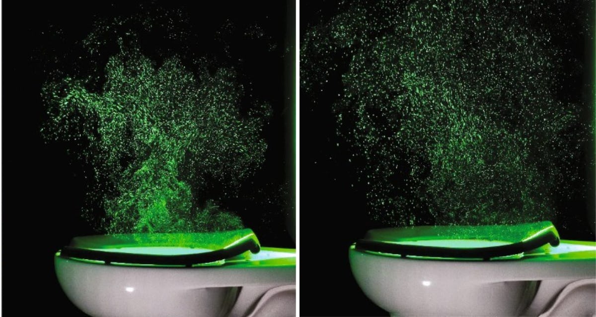 Why You Should Always Close The Toilet Lid Before You Flush