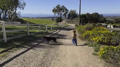 Archie takes a walk with the family dog.