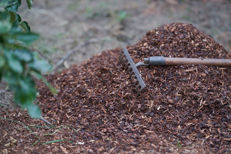 Tree mulch in a pile with a rake