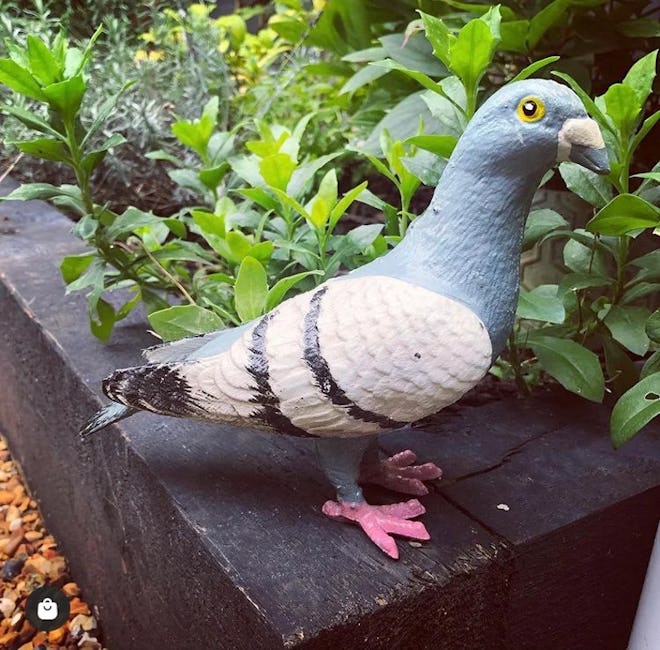 Painted cast iron pigeon perched in an outdoor garden