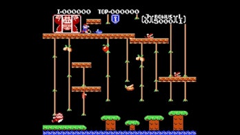 donkey kong jr