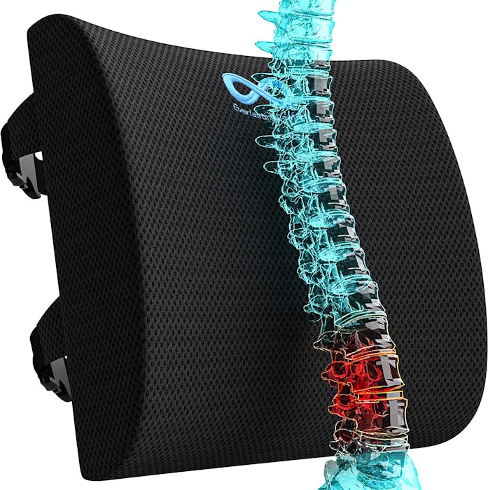 Everlasting Comfort Lumbar Support Pillow
