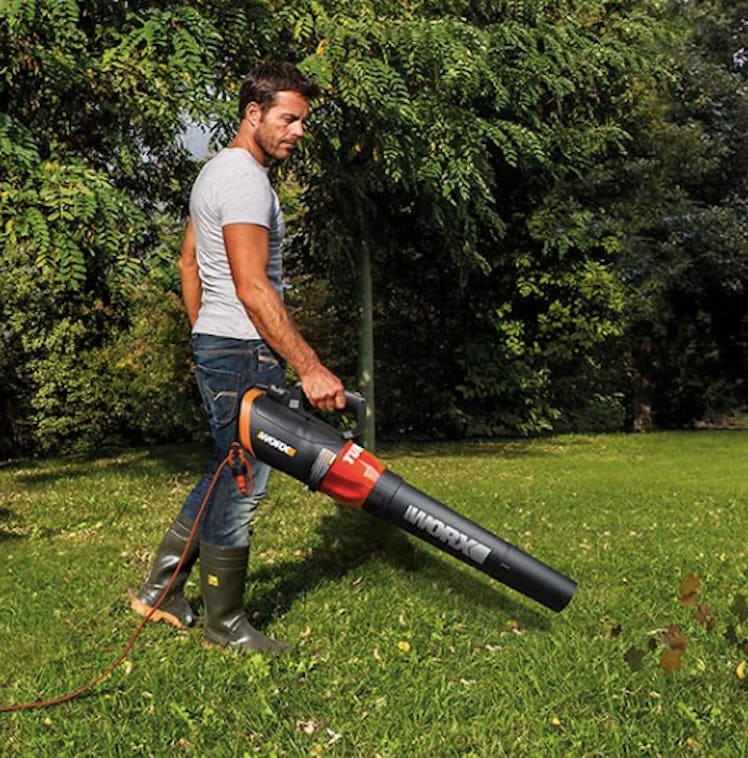 WORX Electric Leaf Blower