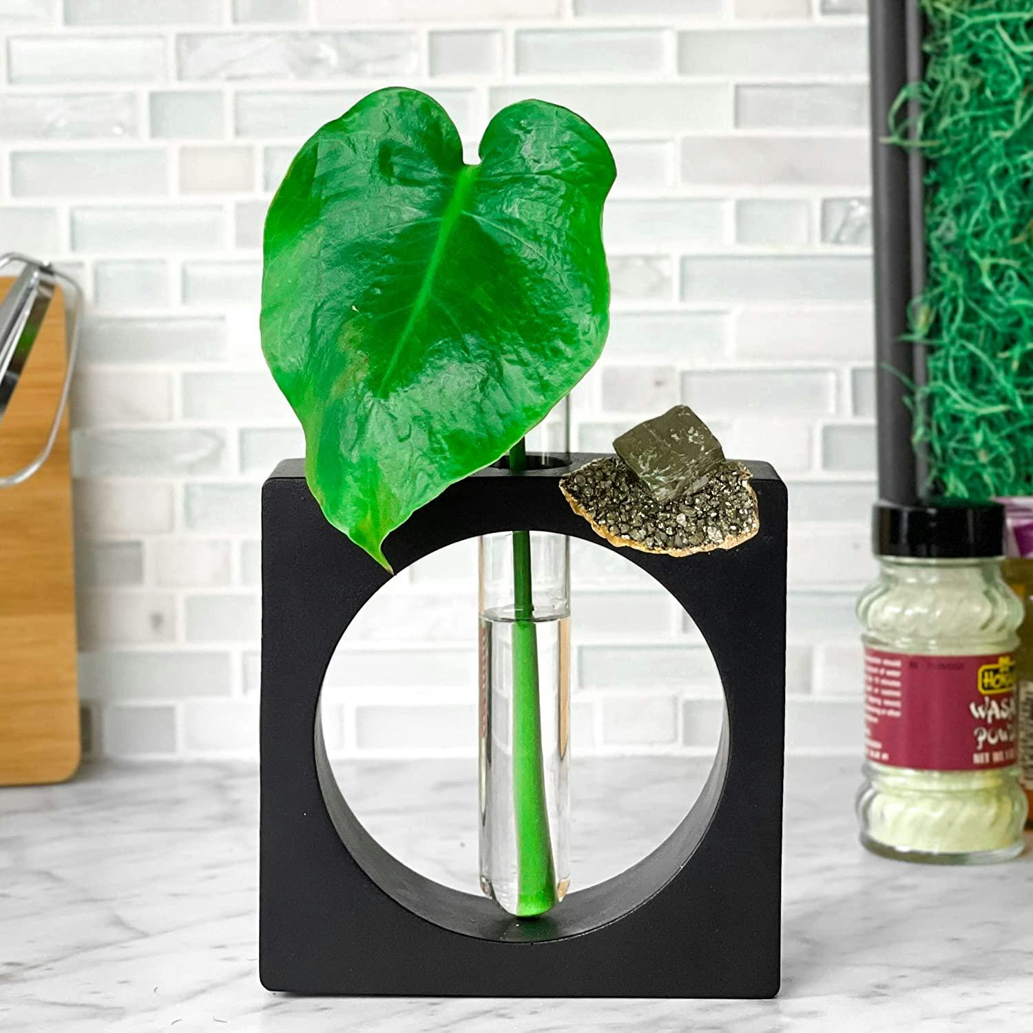 Aura 8 Art Boutique Plant Propagation Station