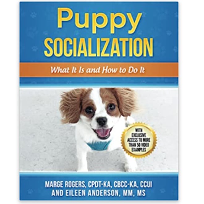 Puppy Socialization by Marge Rogers