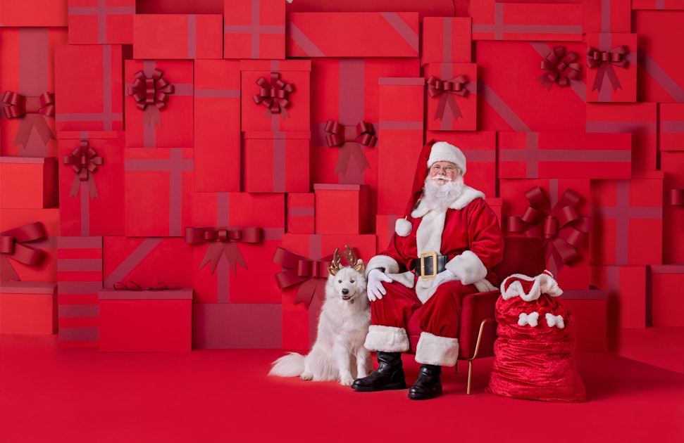 PetSmart's Free Santa Photos For Dogs Are Perfect For Howliday Cards