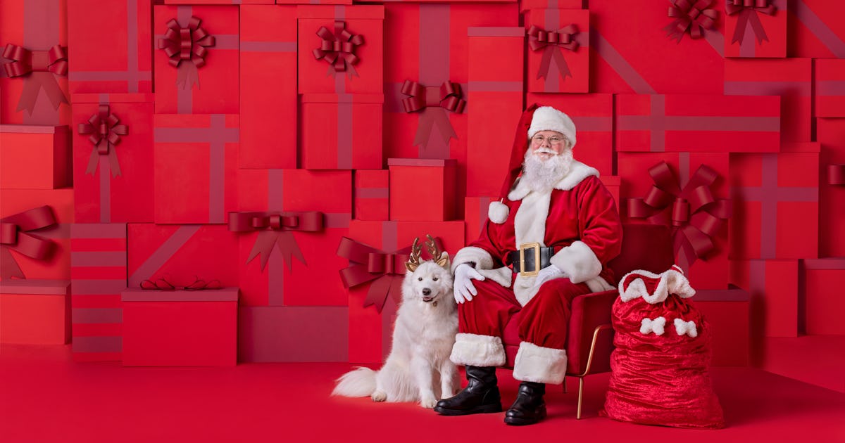 PetSmart's Free Santa Photos For Dogs Are Perfect For Howliday Cards
