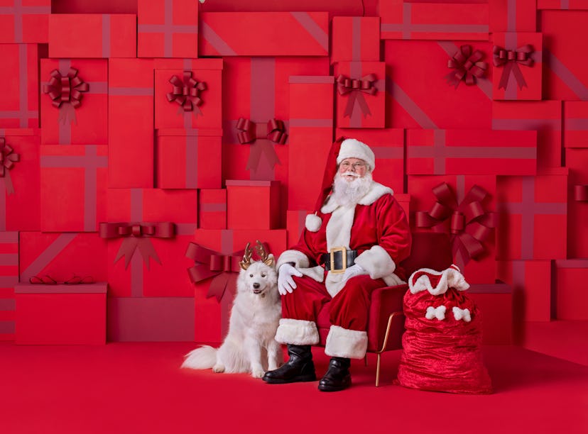 PetSmart is offering free Santa photos for dogs this year. 