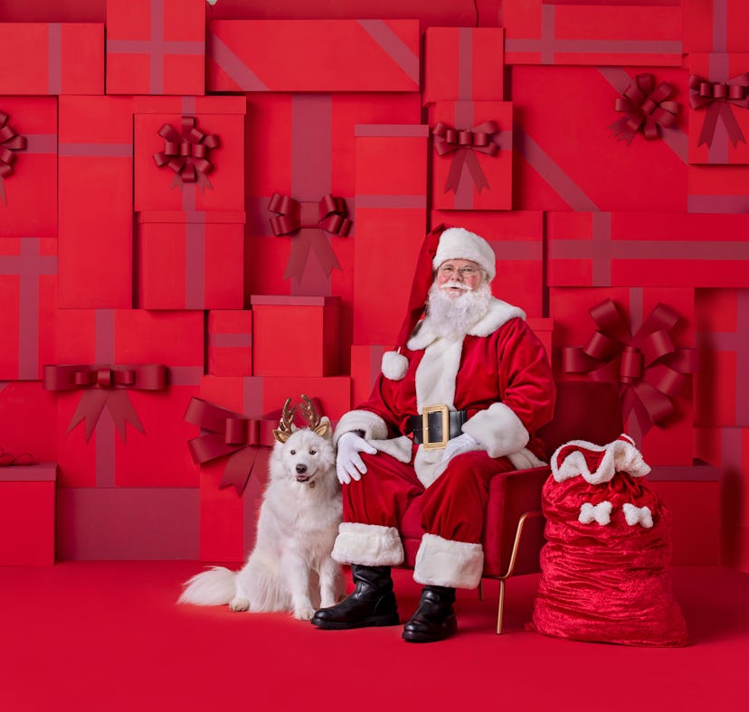 PetSmart is offering free Santa photos for dogs this year.