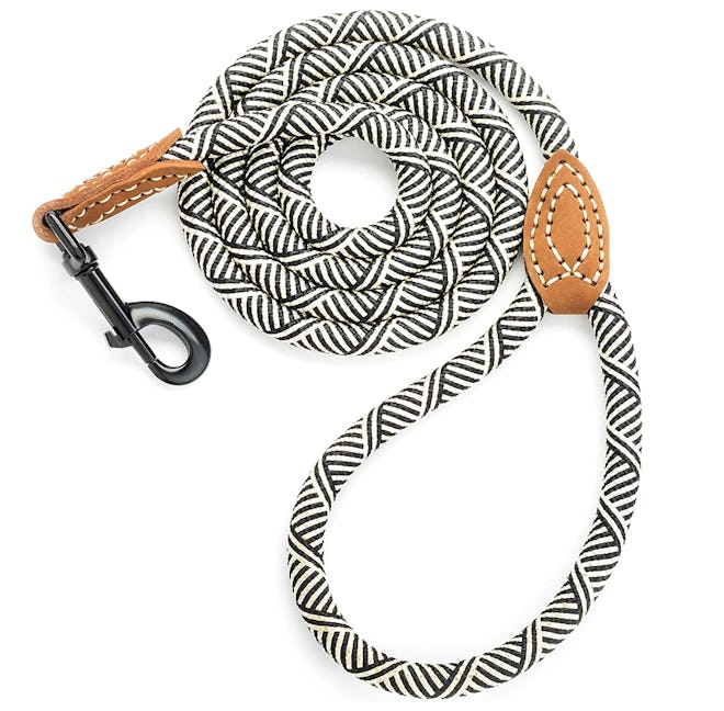 Mile High Life Mountain Climbing Dog Rope Leash