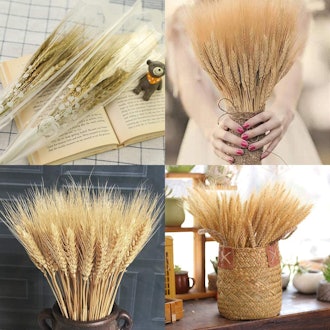 EOSAGA Golden Dried Wheat Sheaves 