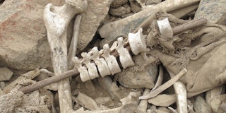 Human vertebrae stacked on a post.