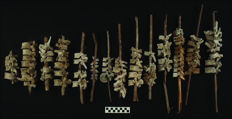 79 vertebrae-stacked reed posts