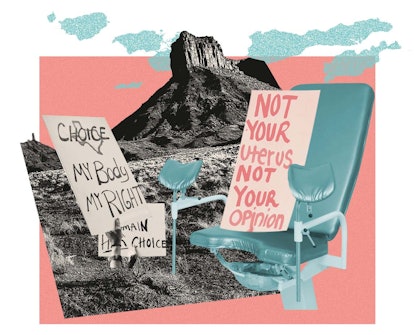 "Choice - my body my right" and "not your uterus not your opinion" protest banners